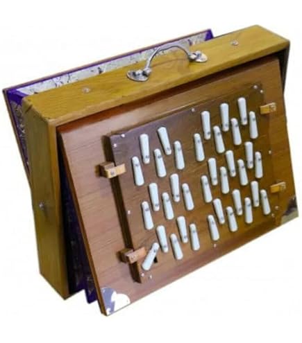 Shrutibox NAAD MUSIC XL Professionnel - Instrument De Musique Indien En Teck - Accordé 440Hz