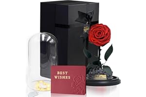 inyeskon Ewige Rosen, Echte Rosen, Infinity Rose, Die Schöne und das Biest Rosen Holzsockel LED-Licht für Valentinstag, Geburtstag, Hochzeit, Muttertag, Jubiläum, Weihnachtstag