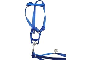 HYPEETY Bird Harness and Leash Amazon Cockatoo Harness Safe Adjustable Nylon Anti-bite Training Hraness Outside Walk for Large Bird Parrot Macaw Color Random (M Chest 11-16.5")