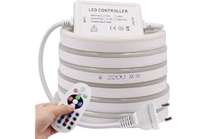 Wisada Tira de luces LED de neón RGB, 10 m, 220 V, 5050, de silicona, flexible, cambio de color, con mando a distancia de 24 teclas y regulador RGB de 750 W para dormitorio, armario, bar