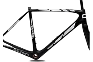 DualColorStampe Set 10 Adesivi Stickers Decal Telaio Bici Bicicletta adesivi telaio MTB Universale Protezione COD. B0170 (ARGENTO 90)