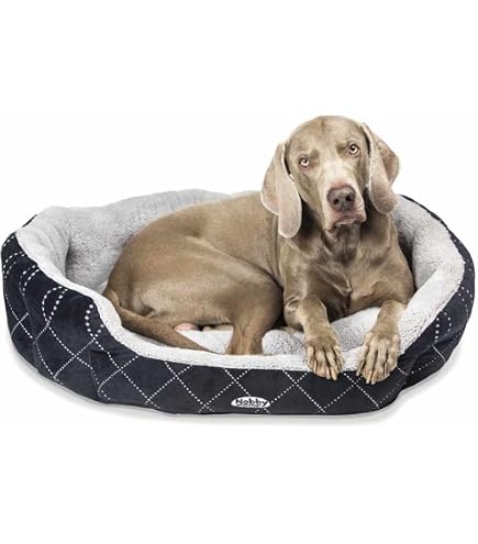 Nobby Komfortbett „Salia“ Oval – 55x50x21 Cm, Mikrofaser Mit Wendekissen, Waschbar, Für Hunde