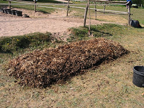 KOMPOSTWÜRMER kaufen – 1000 Stück/Sack – Kompoststarter Regenwurm Set – Gartenwürmer/Regenwürmer Eisenia-Mix lebend – aktive Würmer für Kompost, Komposter, Wurmkomposter, Wurmkiste und Wurmfarm - 7