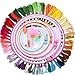 Produktbild ZhengYue Stickgarn Stickrahmen Kreuzstich Werkzeugset, Multifarben Embroidery Thread Nähgarne Stickerei Set und Nadeln Set Kit mit Stickrahmen Kreis