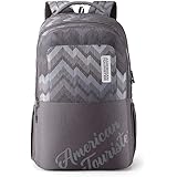 American Tourister Crone 29 Ltrs (33 cms x 21 cms x 47 cms) Grey Casual Backpack (FG8 (0) 08 205)