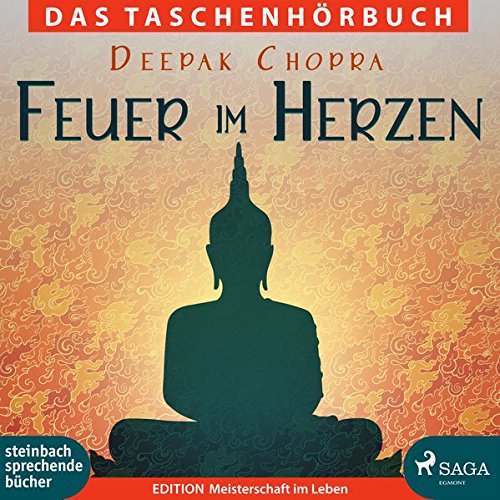 Preisvergleich Produktbild Feuer im Herzen: Eine spirituelle Reise