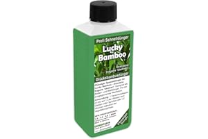 GREEN24 Glücksbambus Dünger – 250ml Spezial-Flüssigdünger für Lucky Bamboo (Dracaena sanderiana) | Für kräftiges Wachstum & sattes Grün | Verhindert gelbe Blätter | Ideal für Hydrokultur & Wasser