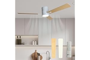 JR BRO Ventilador de techo con luz y mando a distancia,LED con 3 colores,iluminación regulable,35W, silencioso,Ø132 cm,6 velocidades,temporizador,modo verano/invierno,motor DC,para dormitorio y salón