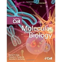 Buy MOLECULAR BIOLOGY, 3RD EDITION Book Online at Low Prices in