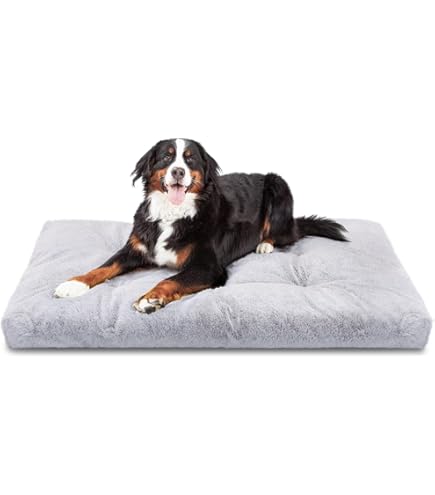 Cama Elevada Perro Cama Para Perros Pequeños Terciopelo