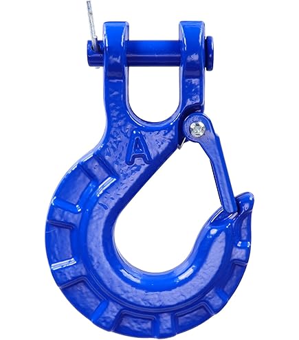 Baumgart Heben Und Sichern Crochet Parallèle Avec Illet Et Sécurité GK8