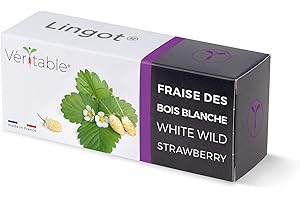 Lingot® Fraise des Bois Blanche - Compatible Potager d'Intérieur Véritable® et Exky® - Recharge prête à l'emploi - Substrat avec Graines Intégrées…