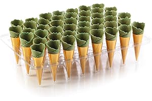 FINE FOOD SPECIALIST Savoury Fillable Spinach Mini Canape Cones, x 45