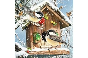 Bimkole Diamond Painting 5D DIY Diamant Peinture Oiseaux Hiver Cabanes Bricolage Plein Forage Cristal Strass Peinture Décor à La Maison 30 * 30 cm(f3-527)