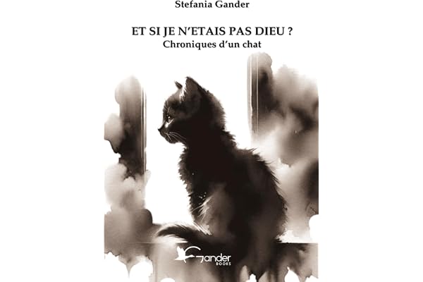 ET SI JE N'ETAIS PAS DIEU ?: Chroniques d'un chat