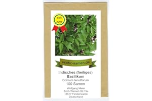 EXOTIC-SAMEN Ocimum tenuiflorum - indisches Basilikum "Tulsi" - heiliges Basilikum - 100+ Samen