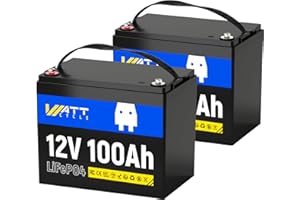 WattCycle Batteria al Litio LiFePO4 12V 100Ah 2Pack, Gruppo BCI 24, 15.000 Cicli, BMS integrato da 100A, Protezione a bassa Temperatura - Ideale per Camper, Golf Cart, Stoccaggio Energetico Domestico