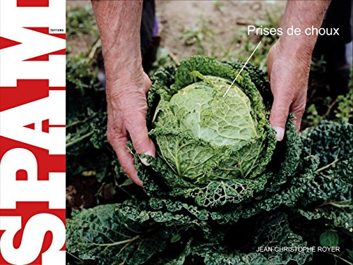 Download Prises de choux Download Prises de choux