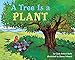 A Tree Is a Plant (Let's Read-And-Find-Out Science) - Clyde Robert Bulla, Stacey Schuett