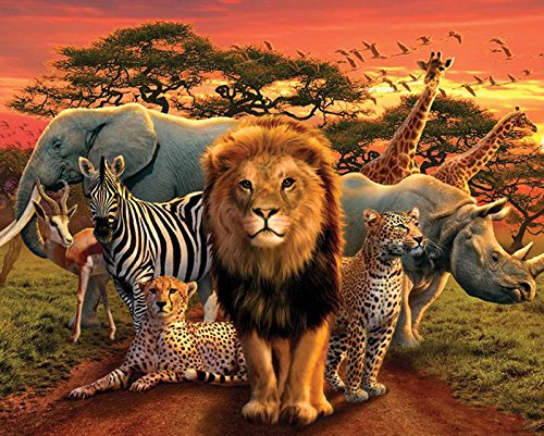 Preisvergleich Produktbild African Kingdom Poster Elefant,Zebra,Löwe,Gepar