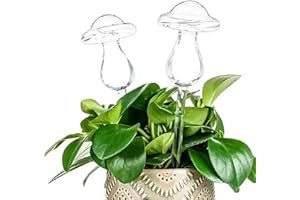 ysister Globos de riego de Setas de Vidrio 2 Setas Bolas de Riego para Plantas Cristal Globos Riego con Exquisita Caja de Embalaje Bombillas de Riego Automático para Macetas, Plantas (Hongo)