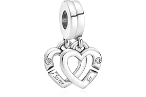 Rimgoris 925 Sterling Silber Charm für Damenarmbänder LIEBE Valentinstag Ewige Liebe Clip Sicherheit kette Baumeln Charms Geschenke