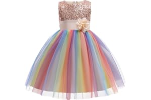 M MUNCASO Mädchen Prinzessin Kleid Pailletten Tüll Blume Regenbogen Runder Kragen Ärmelloses Abendkleid Geburtstagsfeier Hochzeit Brautjungfer Mädchen Abendkleider Kleinkind Baby Alter für 2-13 Jahre