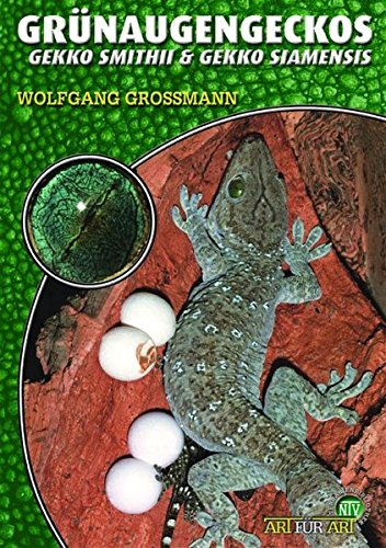 Grünaugengeckos: Gekkos smithii & Gekko siamensis (Art für Art)