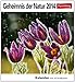 Geheimnis der Natur 2014: Sehnsuchts-Kalender. 53 heraustrennbare Farbpostkarten by