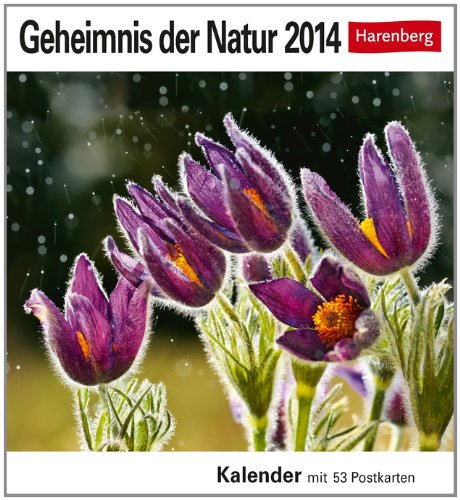 Geheimnis der Natur 2014: Sehnsuchts-Kalender. 53 heraustrennbare Farbpostkarten