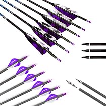 6 Flèches Carbone 700 Spine 29 Pouces - Pour Arc Recurve Ou Poulies, Chasse Ou Cible