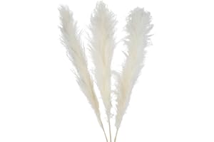 flature Großes Pampasgras XXL 120cm Lang - 3 Stiele Deko Boho Style natürlich getrocknet, Fluffiges Schilfgras als Hochzeit Tischdeko, Kranz, Trockenblumen Dekoration für Bodenvase (Sorte B - Weiß)