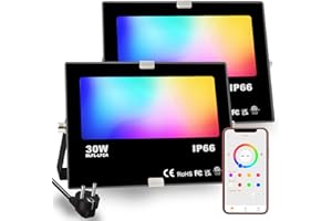 HEKEE RGB Projecteur 30W, Bluetooth, LED Exterieur Intelligente Changement de Couleur Rgbw Spot LED de Couleur, IP66 Etanche (2 Unité)