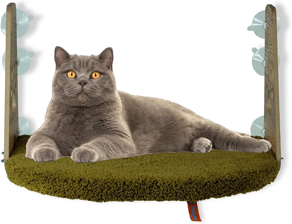 PUGALO Cam Yatağı Vantuzlu Kedi Cam Yatağı Pugalo Vantuzlu Yatak (Yeşil)