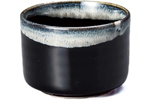 YAMAKI IKAI Yamakiikai F1521 - Ciotola per matcha, diametro 11 cm, Kane High Tenmu Nagashi Matcha, Mino Ware