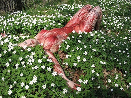 Preisvergleich Produktbild Pulver