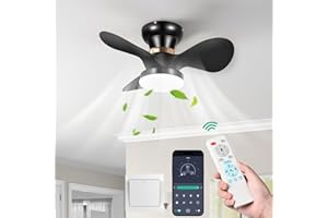 FIMEI 23.6'' Ceiling Fan with Lights and Remote, 6-Speed Reversible Fan & Stepless Dimming Light, Remote Control & APP, Modern LED Bedroom Fan Lighting, Timer, Small Ceiling Fan with Light