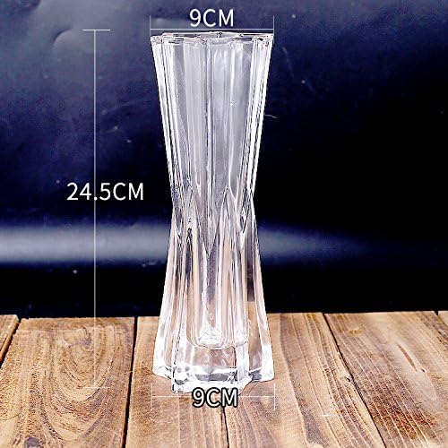 GUANGMING77 The Living Room Decoration Transparent Glass Vase Flower Inserting Device Of Household Fuguizhu Hydroponic Lily Flower Vase,Transparent Six Corners,Secondary