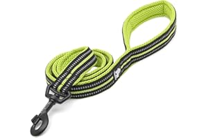 TRUELOVE TRUE LOVE Dog Leash Puppy Walking Lead Pet Chain Padded Reflective Night Safe Rope Length 110cm TLL2111(Neon Yellow,L)