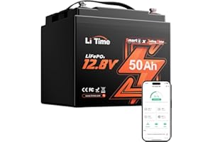 LiTime Batteria Litio LiFePO4 12V 50Ah con Bluetooth e Protezione Bassa Temperatura - BMS 50A, 15000 Cicli, Batteria LiFePO4 12V 50Ah per Motori Trolling, Barche, Caravan, Sistemi Fuori Rete, Camper