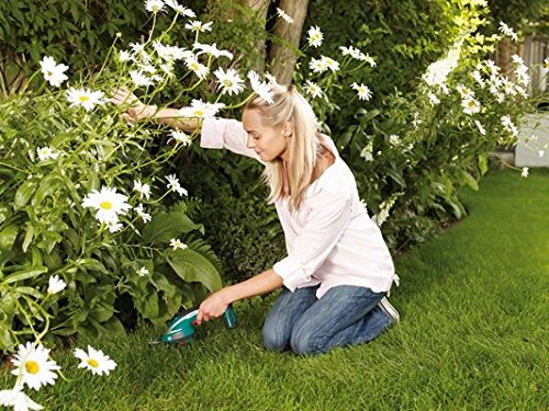 Bosch DIY Akku-Grasschere AGS 10,8 LI, Akku, Ladegerät, Teleskopstiel, Grasscherblatt, Karton (10,8 V, 10 cm Messerbreit) - 5