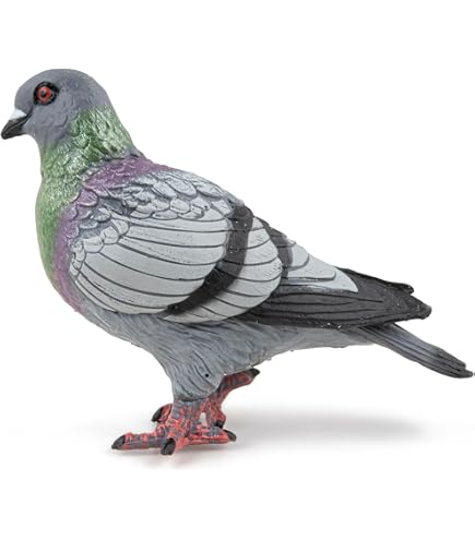Papo - Figurine Kiwi Animal Sauvage - Modèle Détaillé Et Peint à La Main - Pour Enfants à Partir De 3 Ans