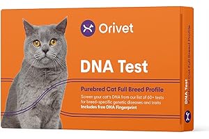 ORIVET Cat Breed DNA Test - 1 Pack | Comprehensive Genetic Health Screening & LifePlan | At Home Cheek Swab | Accurate & Fast Results