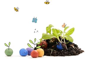 Die Stadtgärtner I 100 bunte Blumenmurmeln – lose & unverpackt zum Basteln und Verschenken I Natürliche Geschenke und Mitgebsel für Kinder & Erwachsene