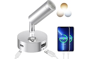 ERWEY LED lampe de lecture 12V RV tactile gradation 3 modes de température de couleur avec fonction de charge connecteur USB A + C, DC 12V - 24V marine Camping van Yacht éclairage intérieur, argent