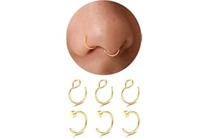Diamday 6Stück Nasenpiercing Fake Nasenring Gold Silber Dünn Chirurgenstahl - Fake Septum Hoop Nostril Piercing Set Lippenpiercing Helix Knorpel Tragus Daith Piercing Ohr Schmuck 22G/20G/18G 6-8MM