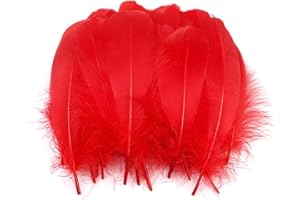 Duories 100 Stück Bunte Feder zum Basteln Naturfedern Gänsefedern Indianer Bastelfedern für DIY Kunstwerk Masken Hüte Ohrringe Haarschmucken Traumfänger Hochzeit Karneval Party Dekoration,12-18cm rot