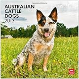 Australian Cattle Dogs 2013 - Australische Cattle Dogs - Original BrownTrout-Kalender by 