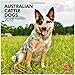 Australian Cattle Dogs 2013 - Australische Cattle Dogs - Original BrownTrout-Kalender by 