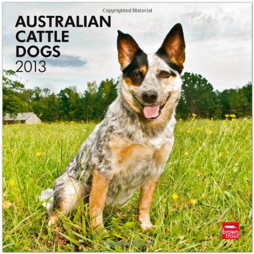 Australian Cattle Dogs 2013 - Australische Cattle Dogs - Original BrownTrout-Kalender